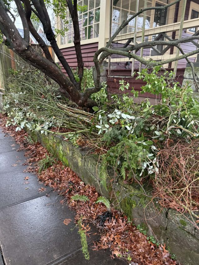 Yard Debris Clean-Up, Yard Debris Cleanup, Debris Removal, Debris Removal Portland, Debris Removal Services, Debris Hauling, Debris Hauling Portland, Yard Debris Portland