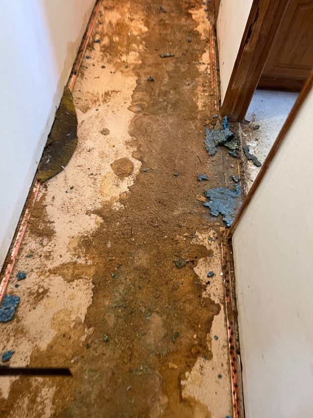 Carpet Removal Potland