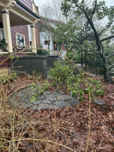 Yard Debris Clean-Up, Yard Debris Cleanup, Debris Removal, Debris Removal Portland, Debris Removal Services, Debris Hauling, Debris Hauling Portland, Yard Debris Portland