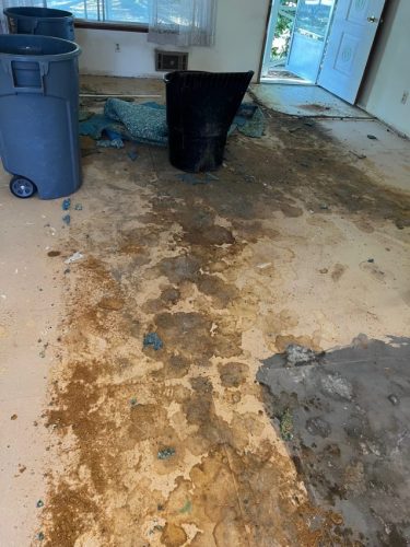 Carpet Removal Portland