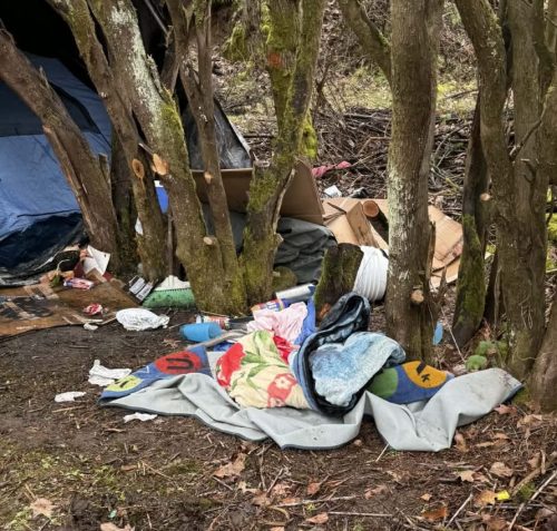 Homeless Camp Cleanup, Homeless Camp Removal, Homeless Camp Cleanup Service, Homeless Camp Cleanup Near Me, Homeless Camp Removal Near Me